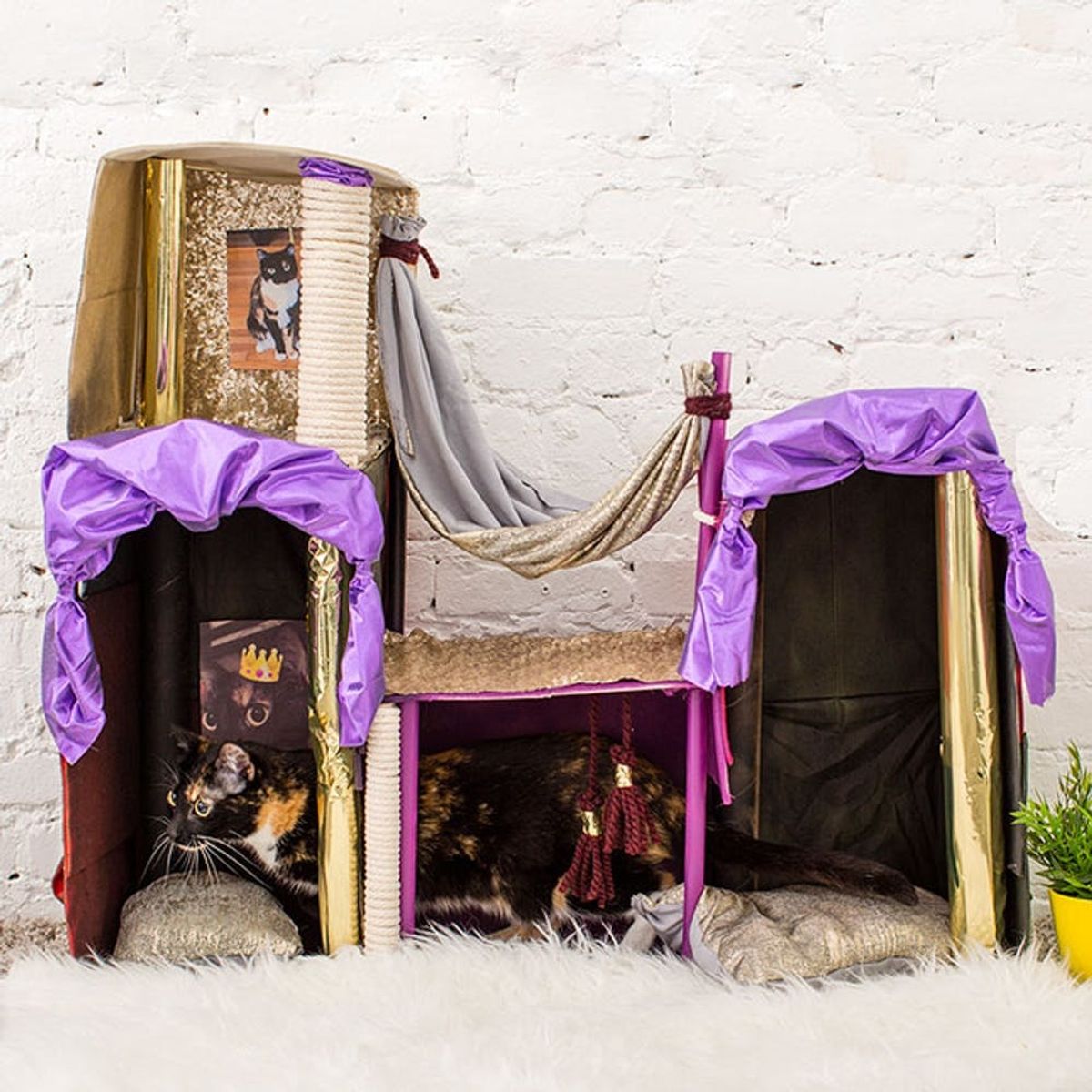 Create the Cat Palace of Your Kitty’s Dreams