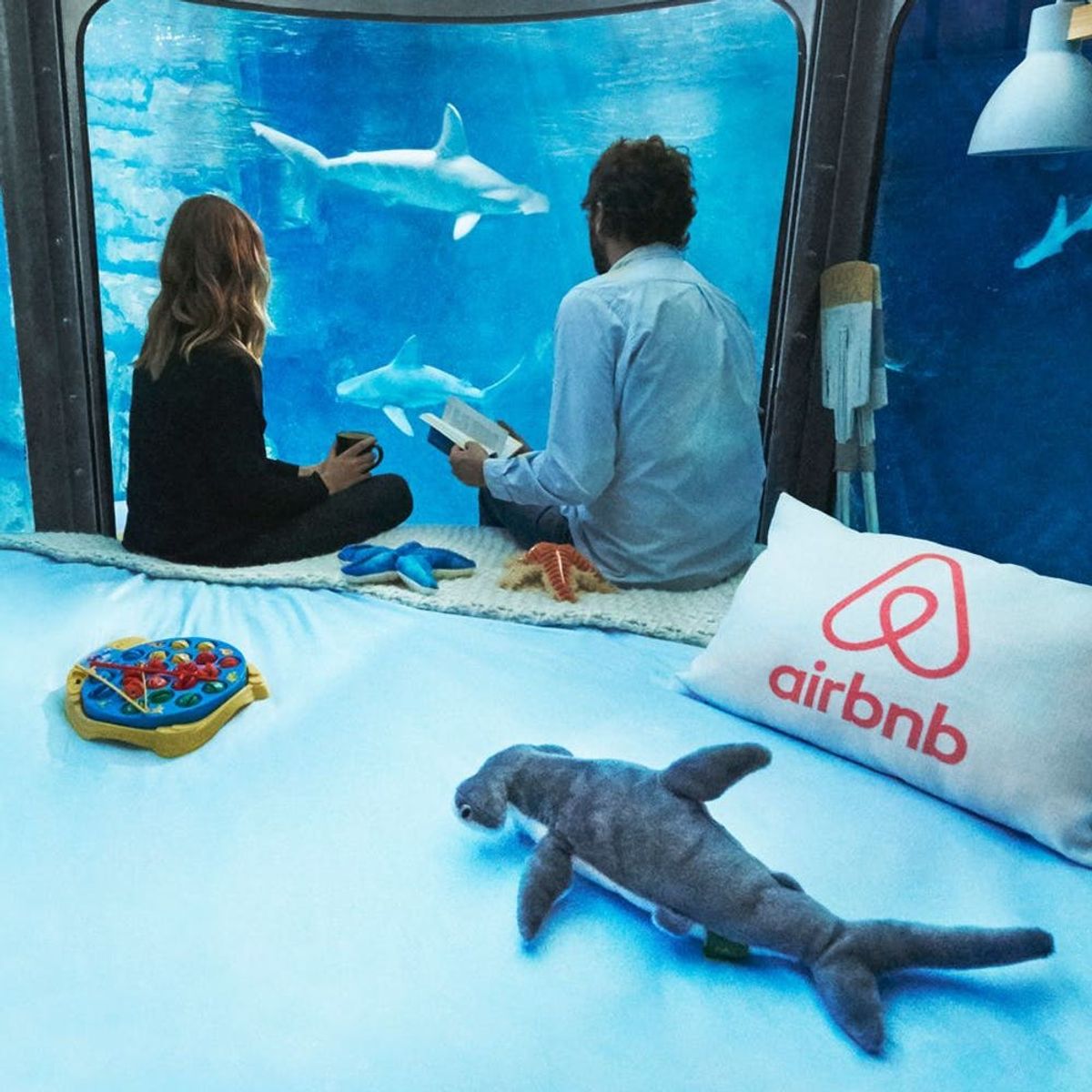 Here’s How to Get a Free Stay in a Shark Hotel