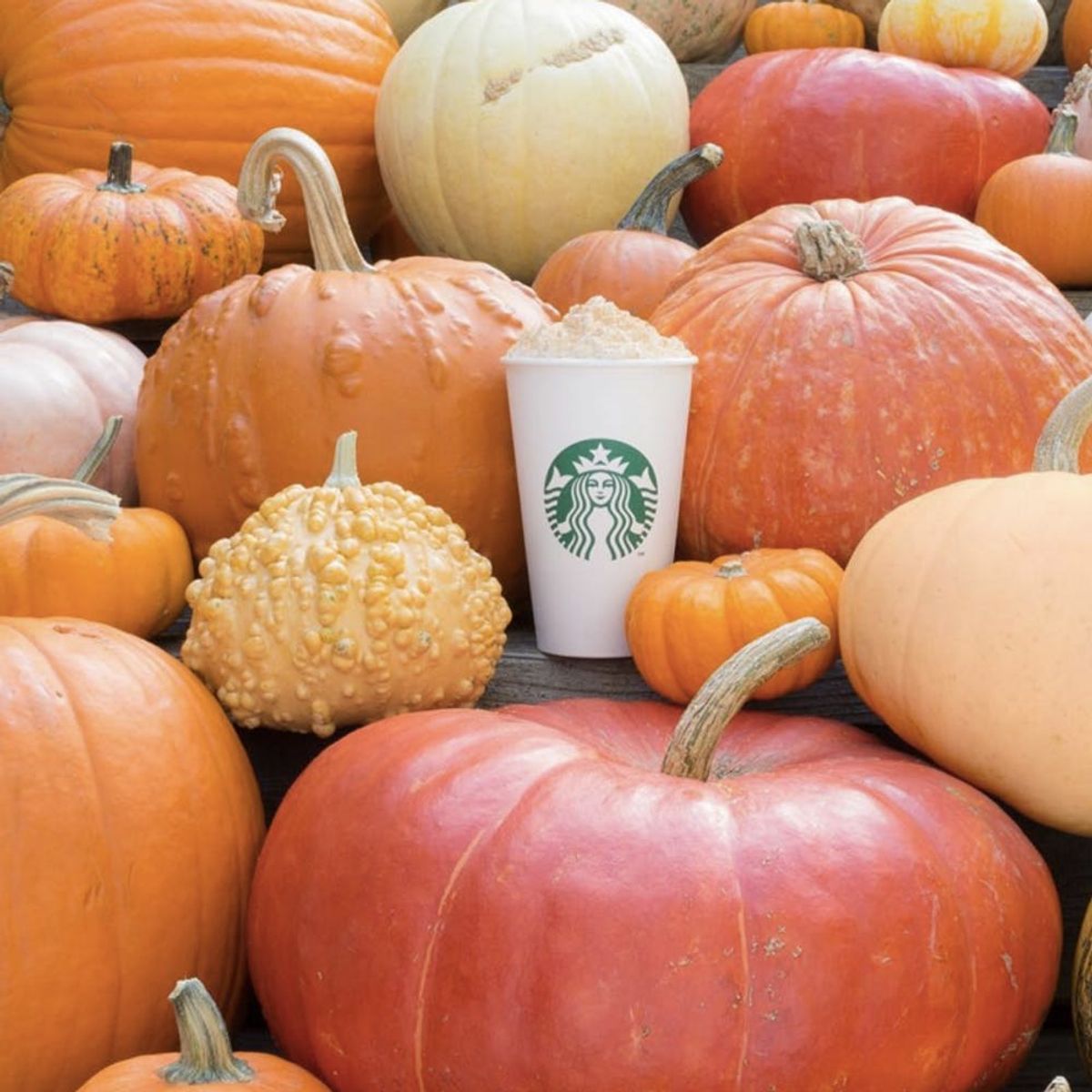 Drop Everything: Starbucks Pumpkin Spice Latte K-Cups Are HAPPENING
