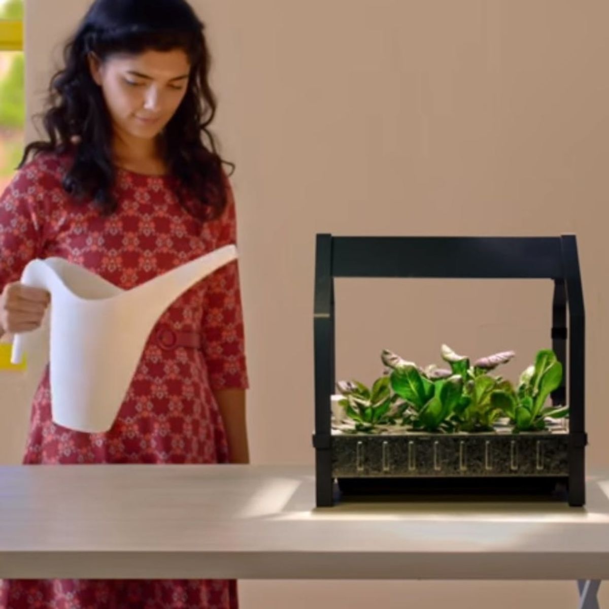 IKEA Is Introducing Countertop Hydroponic Planters for Indoor DIY Gardening