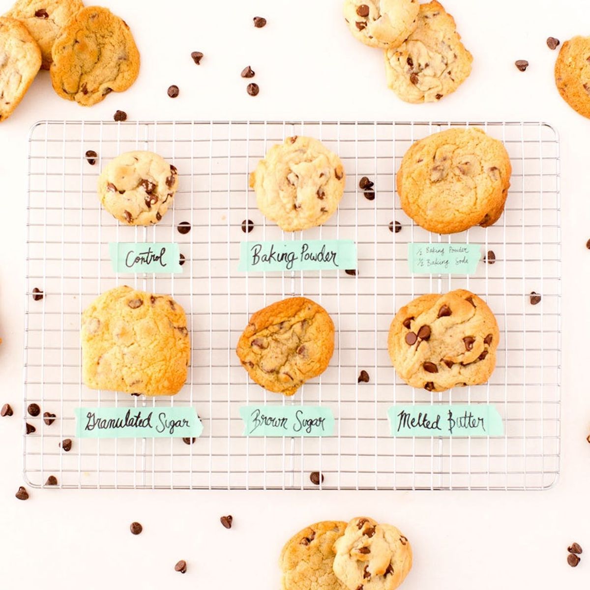 The Ultimate Chocolate Chip Cookie: Tested on Baking Rookies
