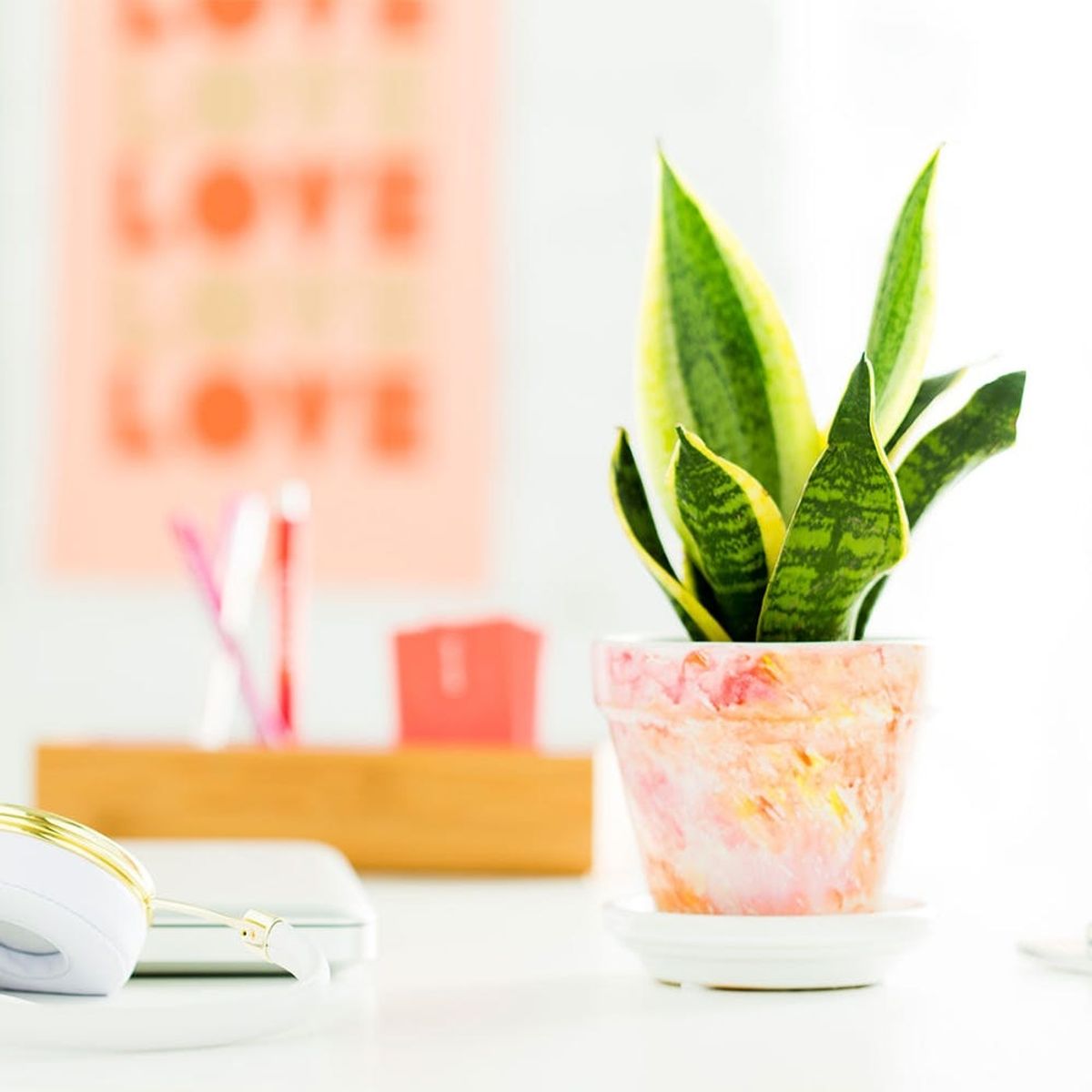 Make This Easy Sharpie Watercolor Planter for Your Office