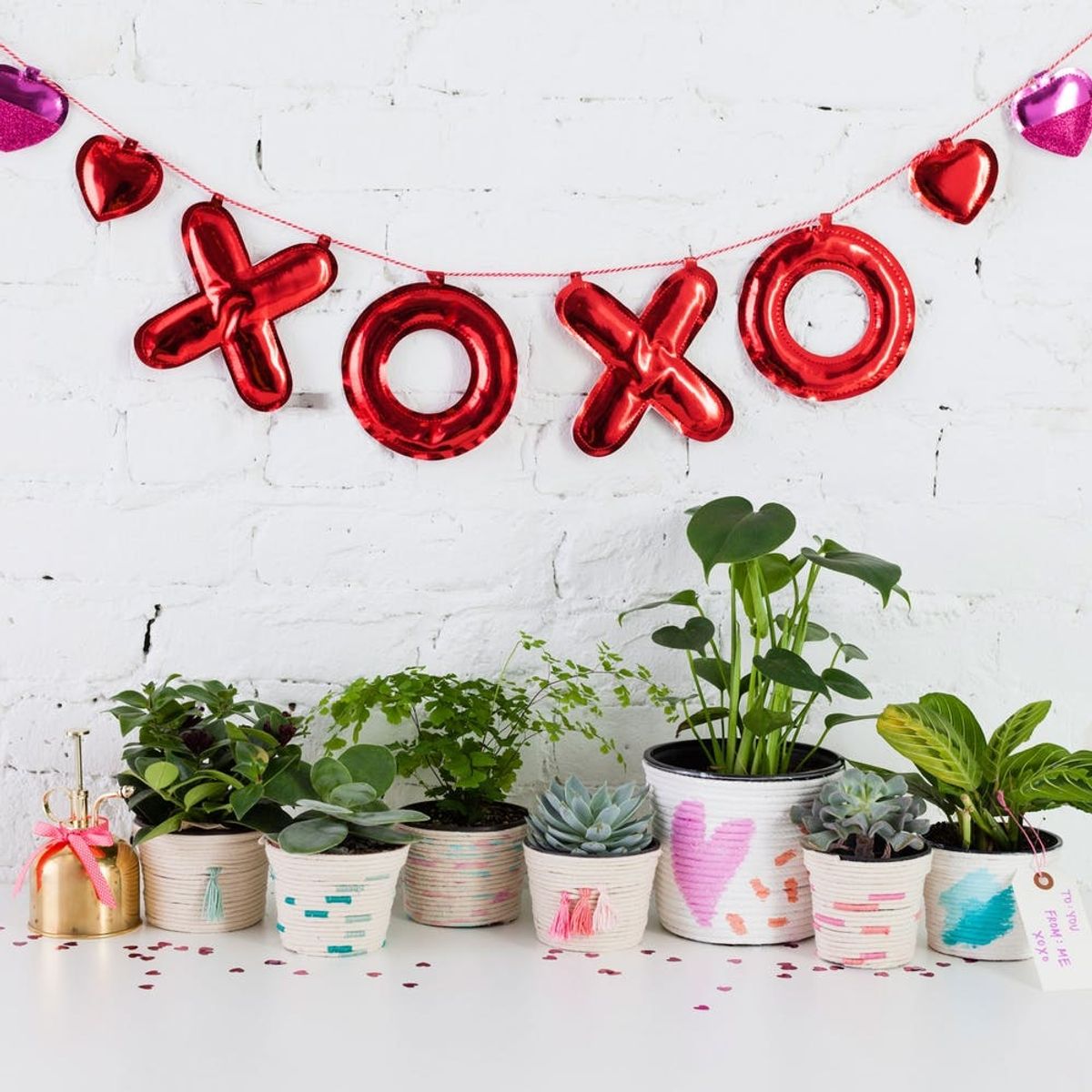 Mix These DIY Techniques to Make the Cutest Living Valentine’s Day Gift