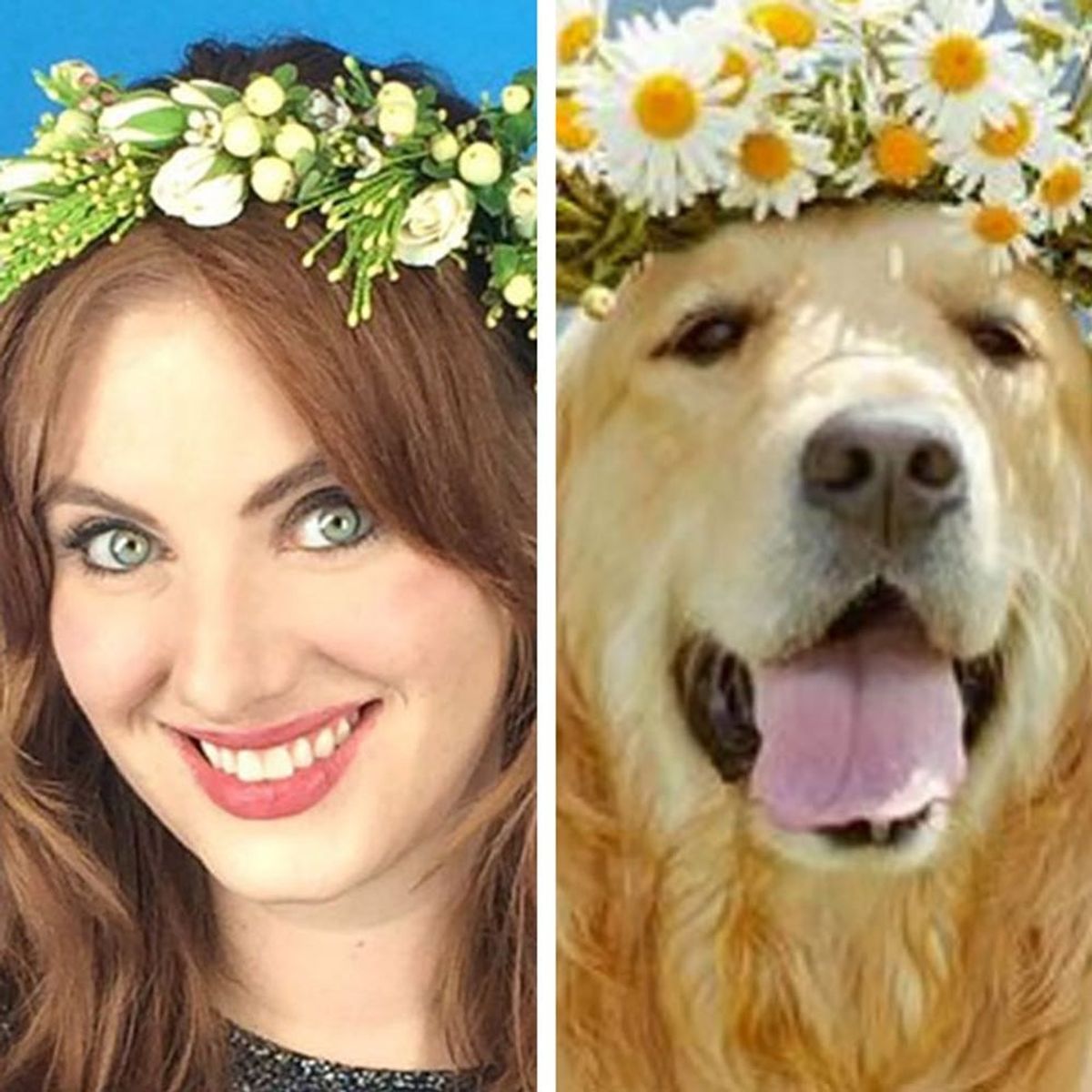 Twitter Account You Are Dog Now Will Match You With Your Dog Doppelganger