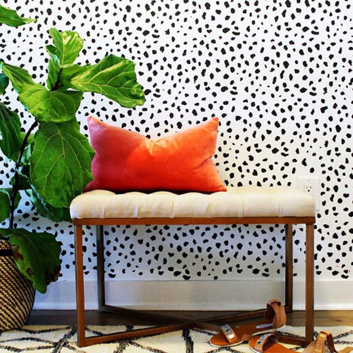 Trend Alert: 7 Modern Dalmatian Print Walls That Make a Statement