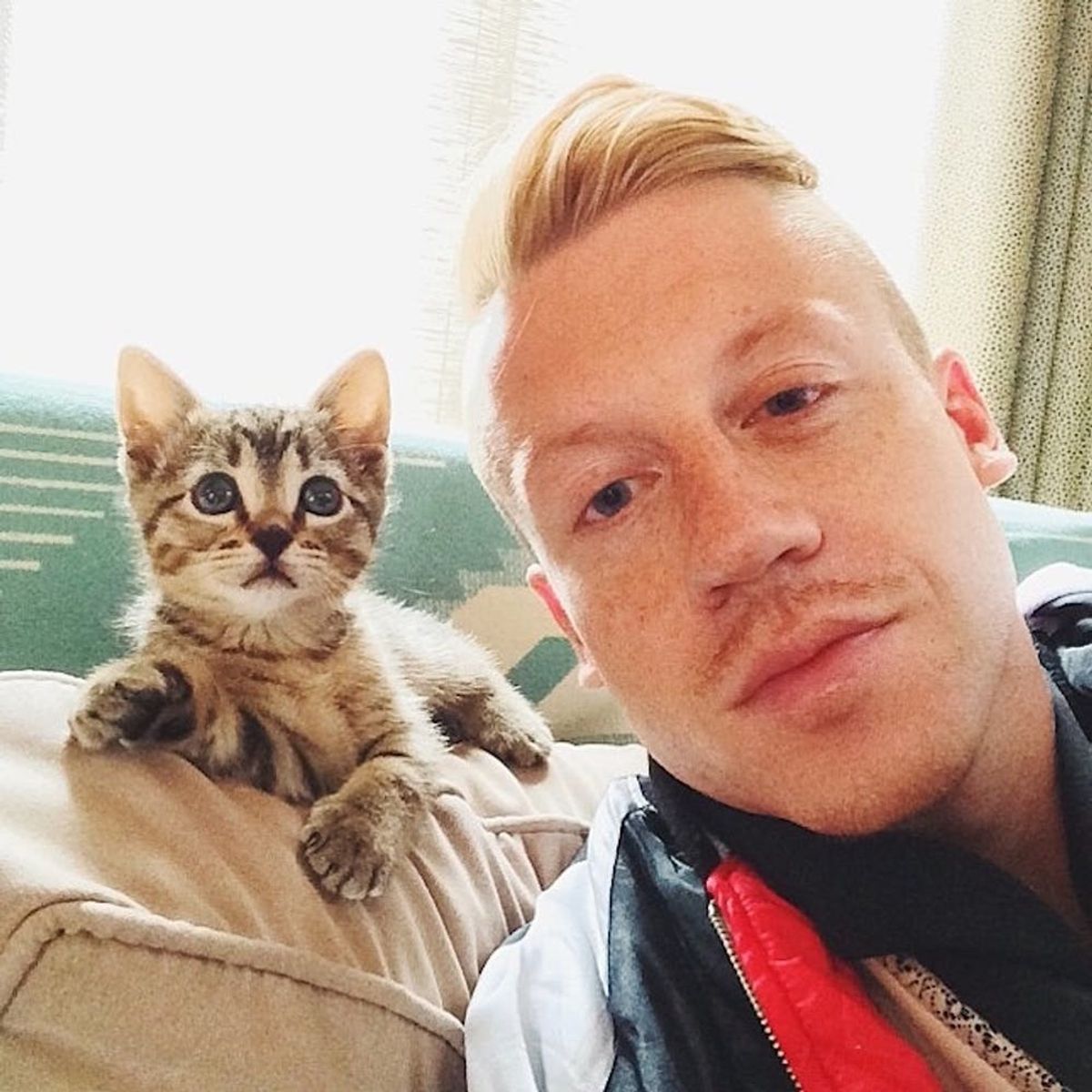 11 Celebrity Pets We Followed on Instagram in 2015