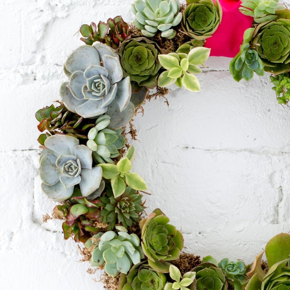 How to Make a Succulent Wreath You Can Hang All Year Round