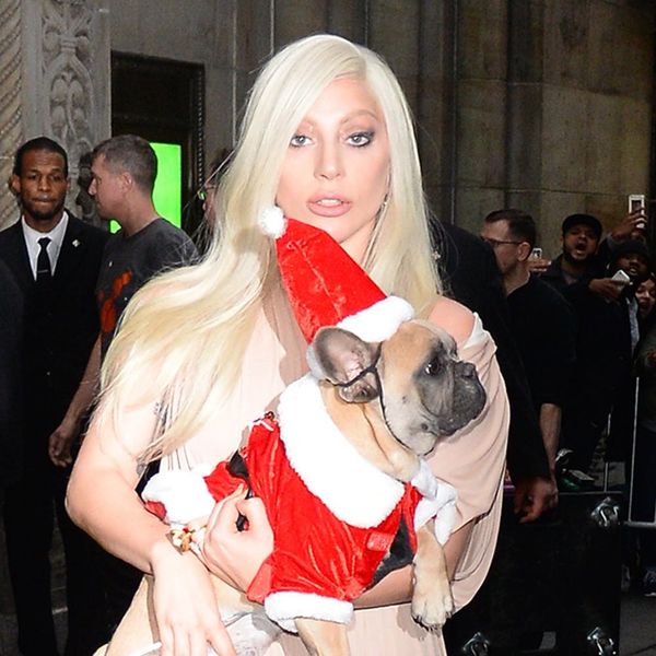 Lady Gaga Got a Horse AKA the Christmas Gift of Your Childhood Dreams