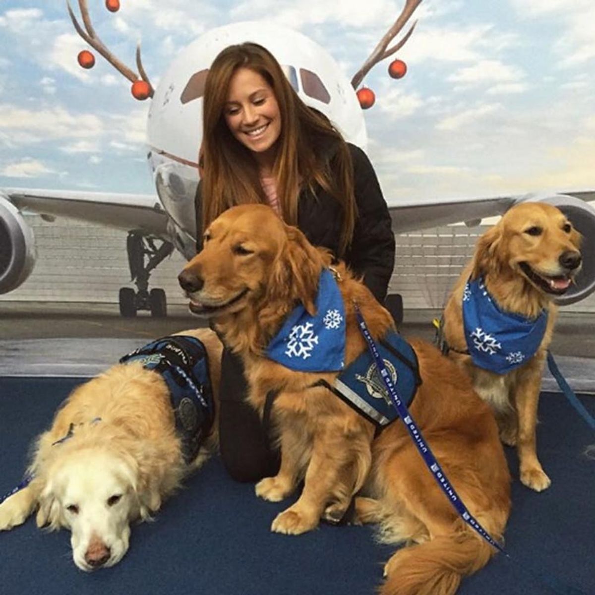 United’s Airport Comfort Dogs Are the Best Thing to Happen to Holiday Travel