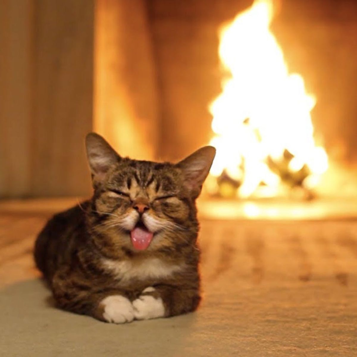 8 Yule Log Videos to Play at Your Party