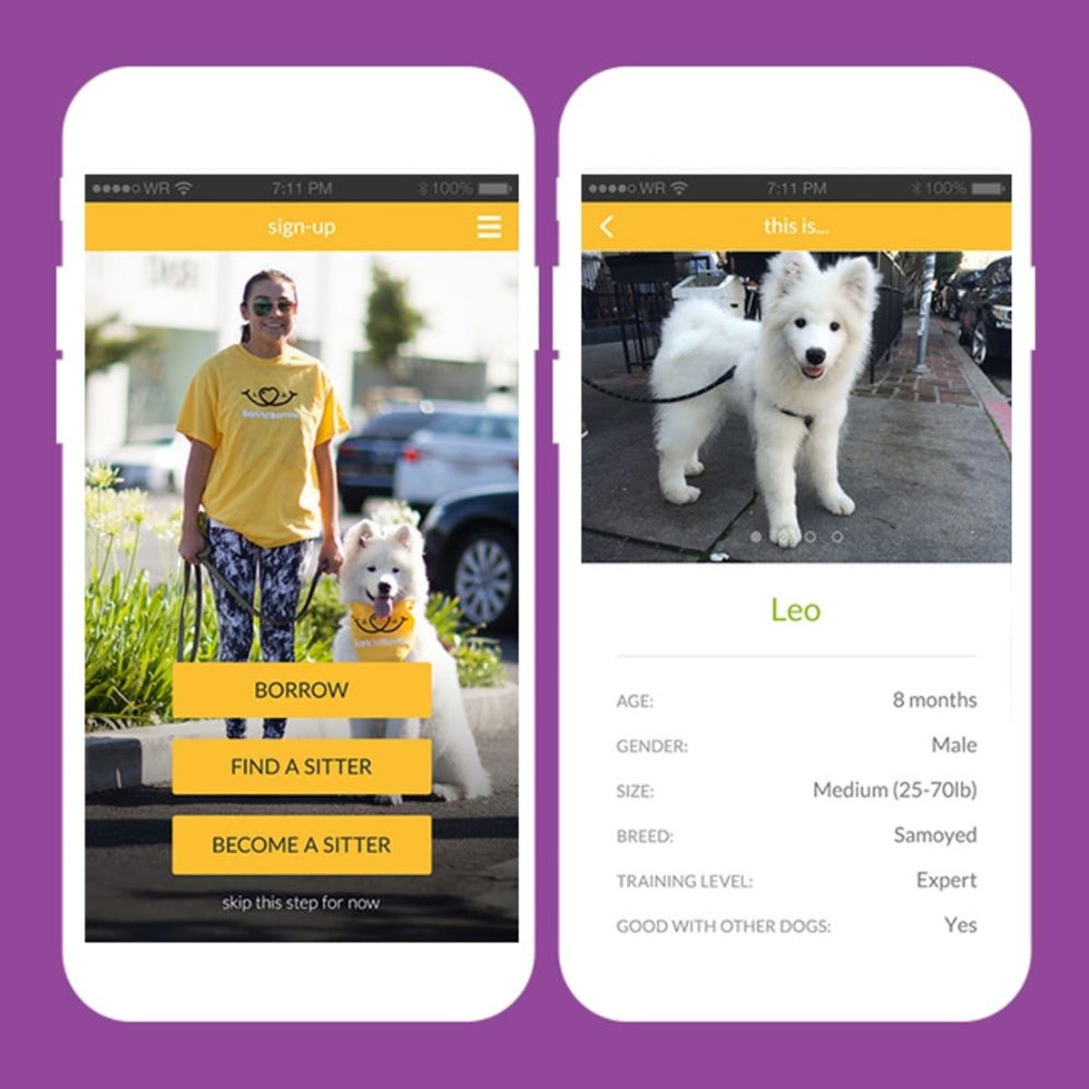 All Dog Owners Need to DL This App Before Their Holiday Travels