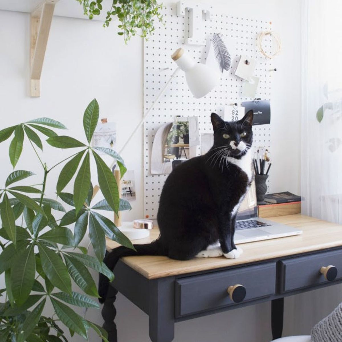 See How This Designer Transformed Her Messy Desk into a Productive Workspace