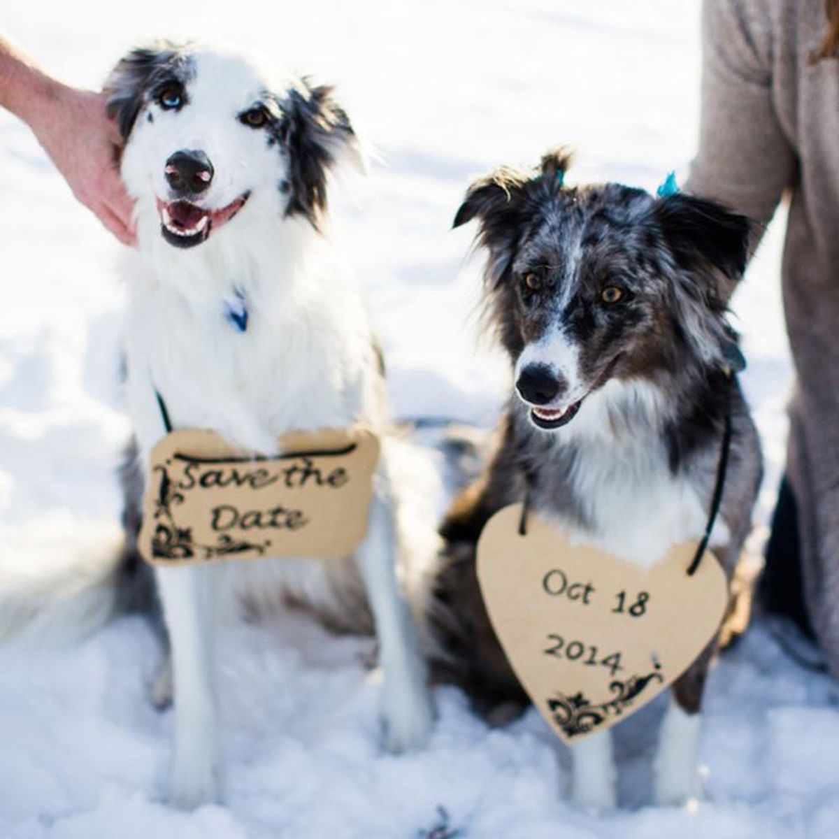 13 Winter Engagement Photo Ideas to Warm Your Heart