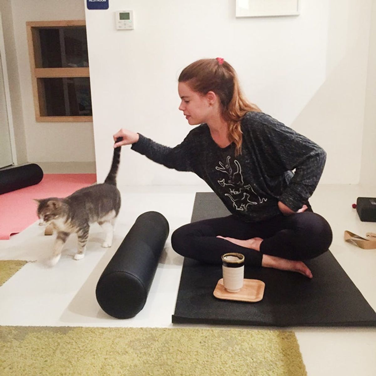 I Went to a Cat Yoga Class. This Is What Happened.