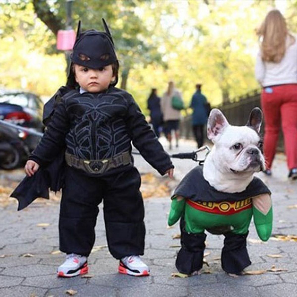 22 Halloween Costume Ideas Every Dog + Dog Owner Needs
