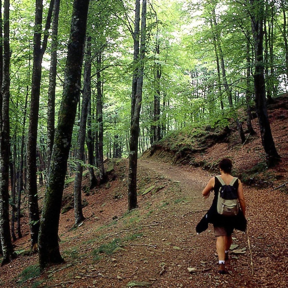 How Hiking Will Make You Happier