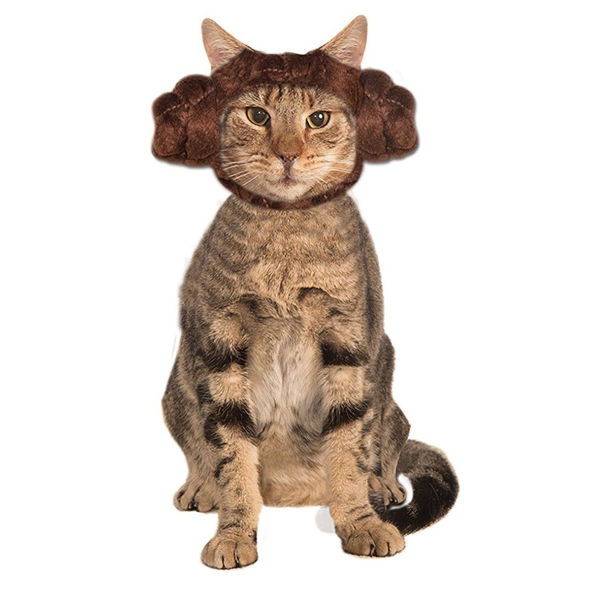 12 Cat Costumes That Will Make Your Day