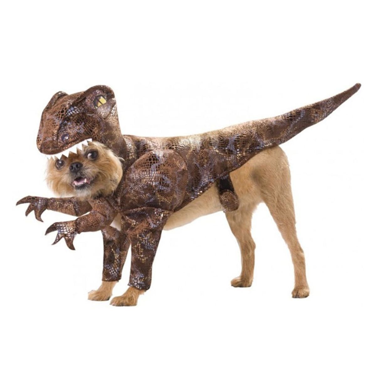 The Top 9 Best-Selling Pet Costumes Right Now