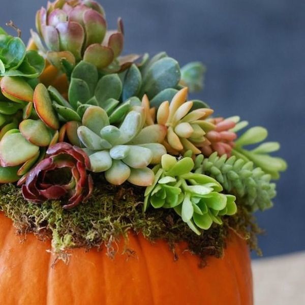 20 Creative Ways to Repurpose a Halloween Pumpkin