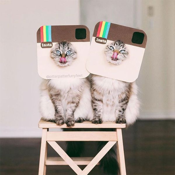 16 Instagram Accounts to Follow for ALL of Your Last-Minute Halloween Inspiration