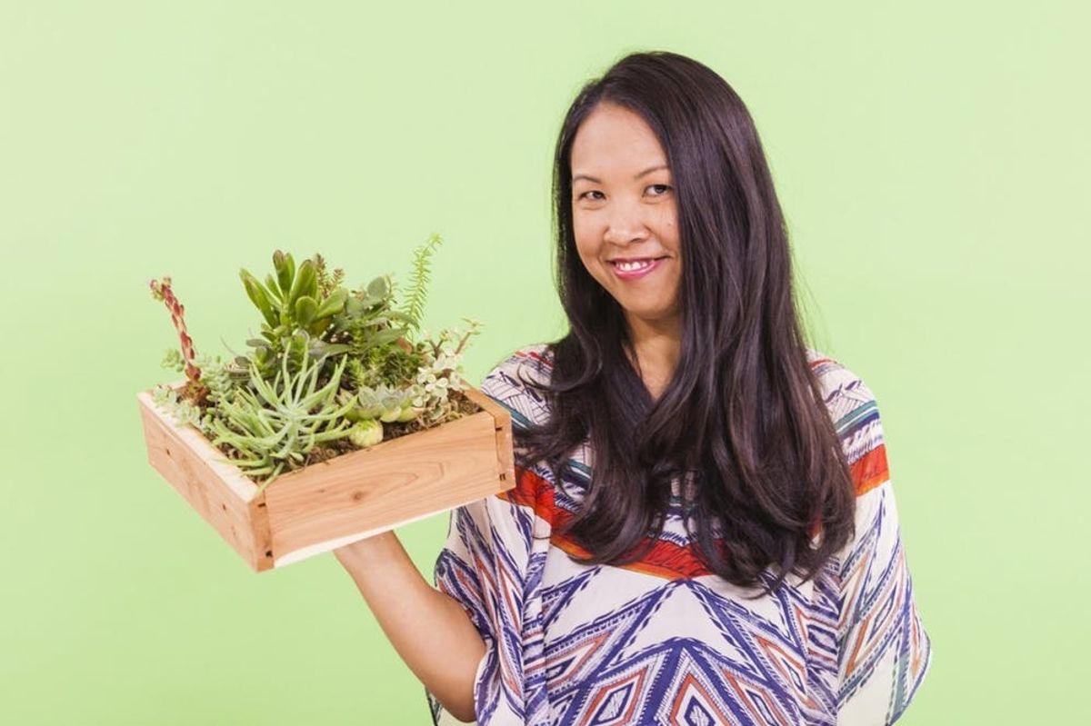 Learn to Make a Vertical Succulent Garden for Under $20