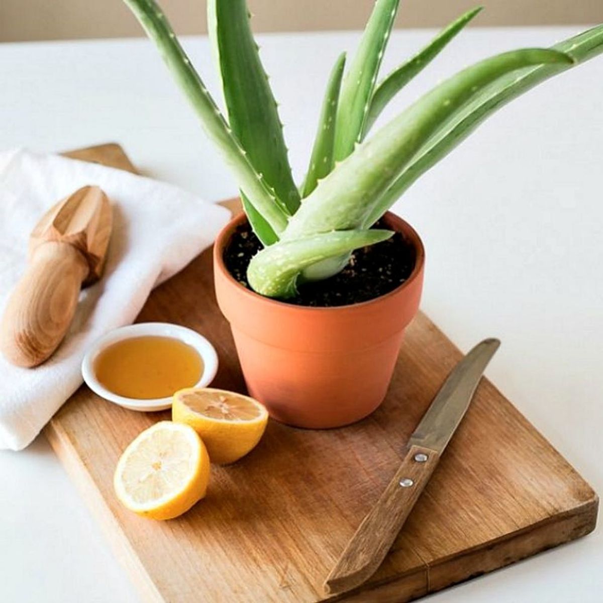 17 Ways to Use Up Leftover Aloe Long After Summer Is Over