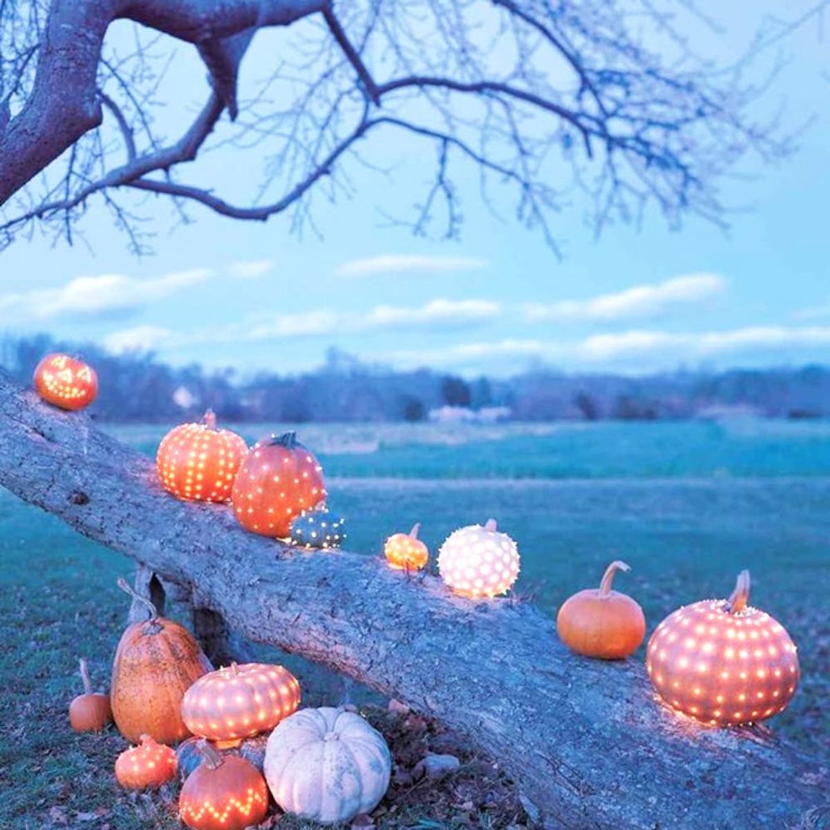 14 Creative Ways to Use Pumpkins in Your Fall Wedding