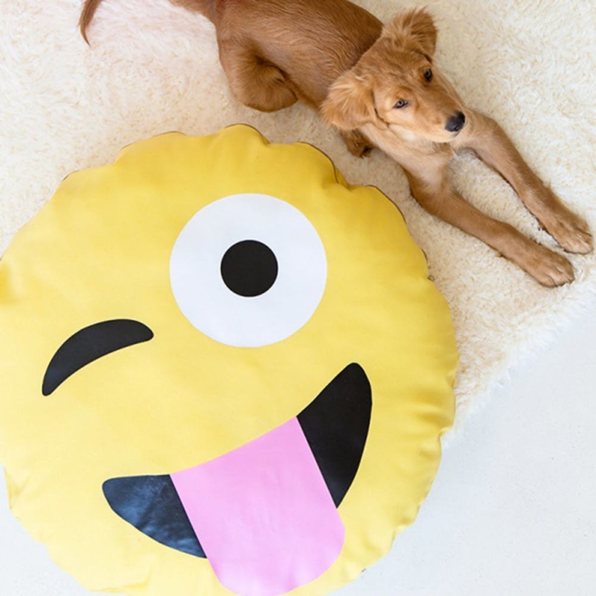 What to Make This Weekend: Grown-Up Sand Art, an Emoji Dog Bed + More