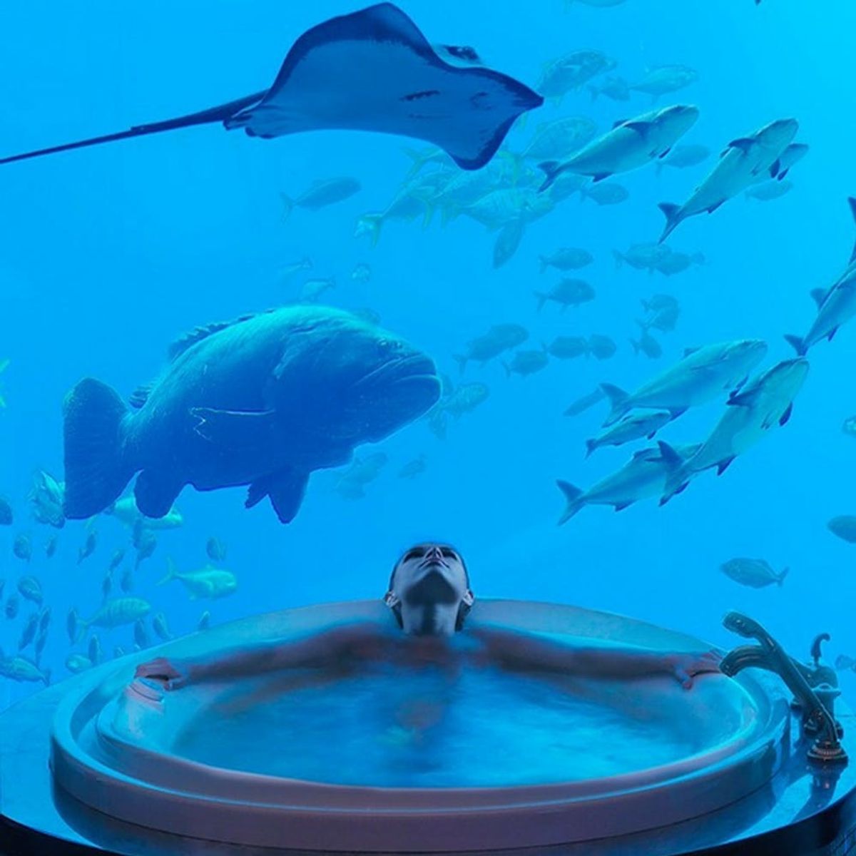 Channel Your Inner Ariel at These Underwater Hotels