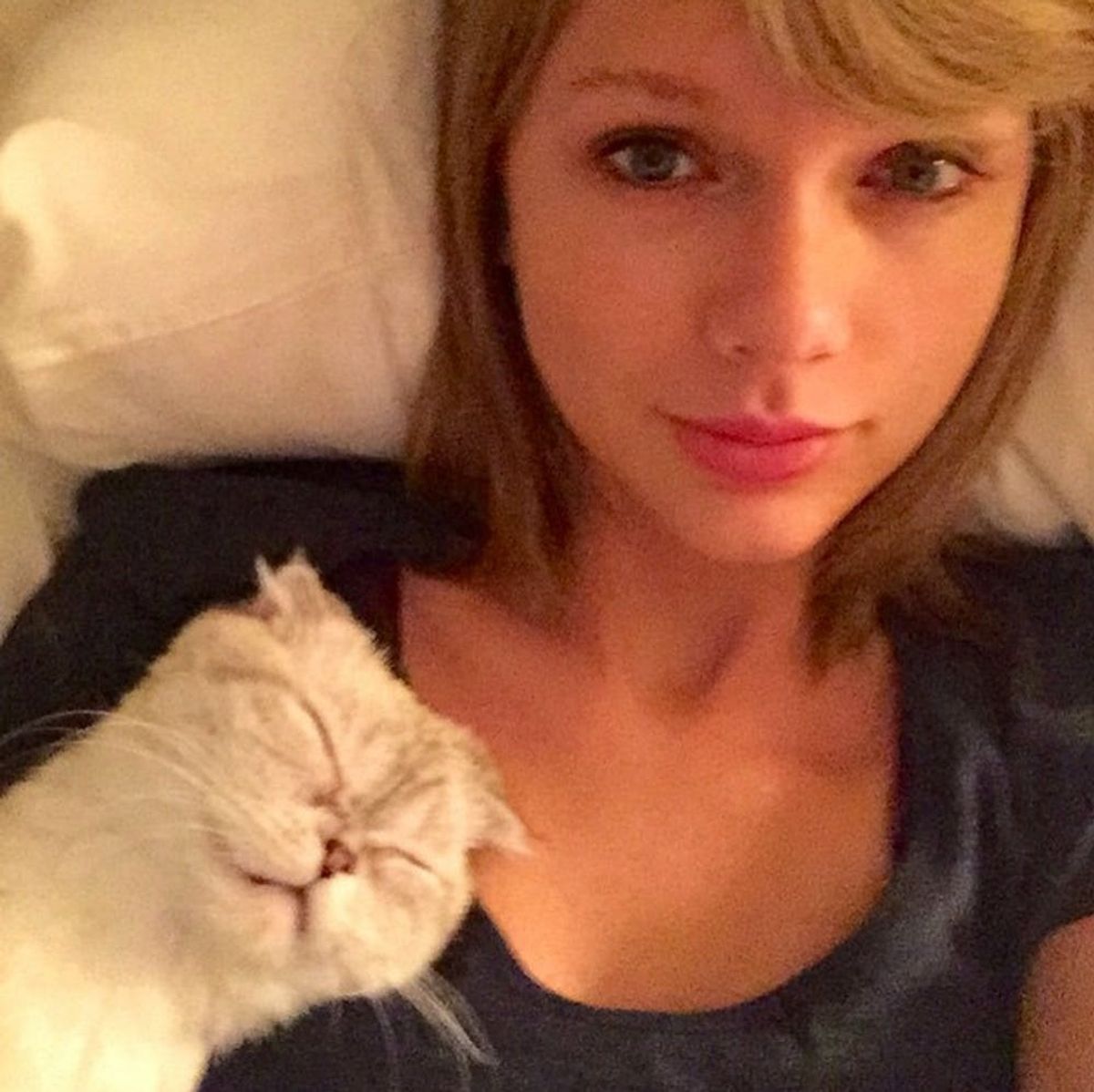 8 Cute Cat Accessories to Copy Taylor Swift’s Date Night Style
