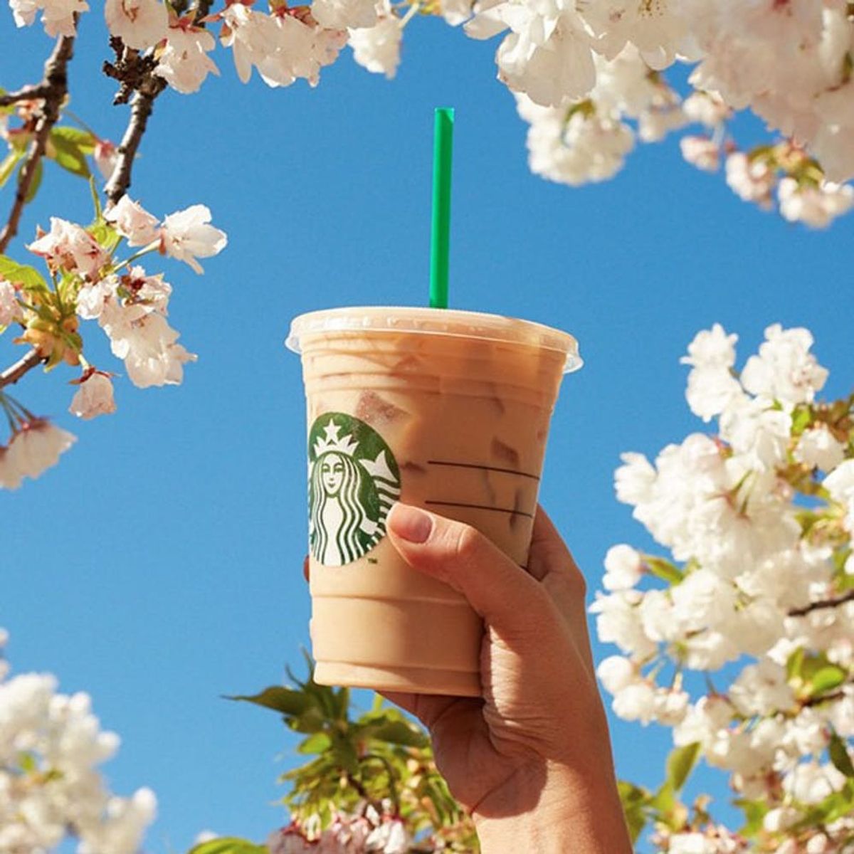 5 Brand-New Things Happening At Starbucks This Summer
