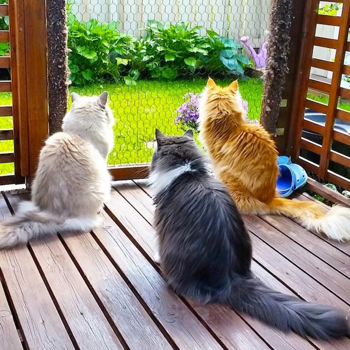 These Are the Coolest Outdoor Spaces Trending on Instagram Right Now