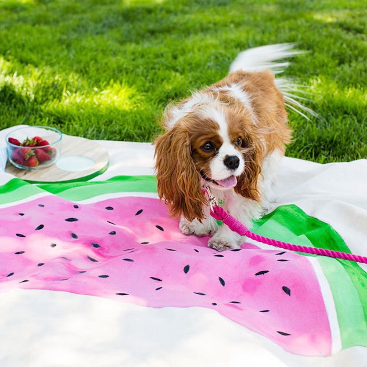 14 Blankets to Help You Picnic like a Pro