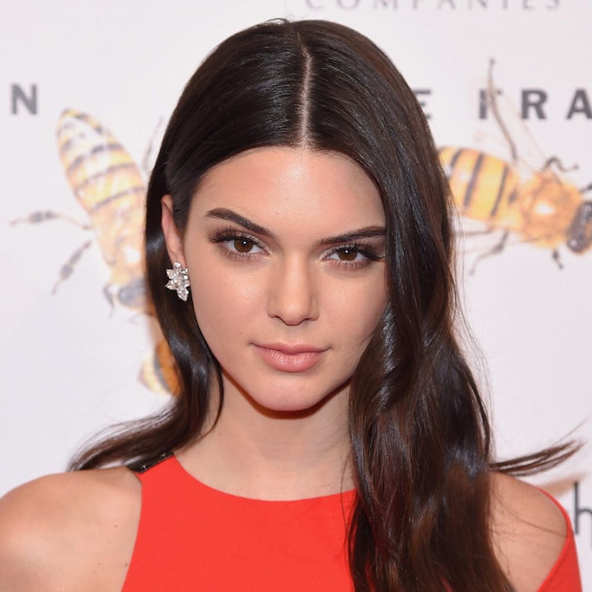 See the Kendall Jenner Pic That Just Got the Most Likes on Instagram *Ever*
