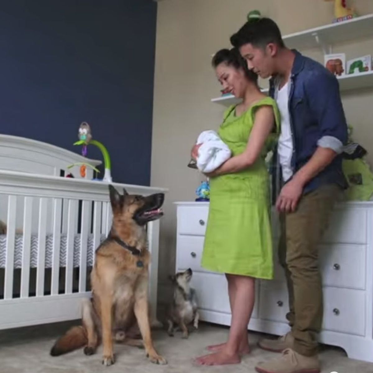 This Sweet Pregnancy Time Lapse Is like Nothing You’ve Seen Before