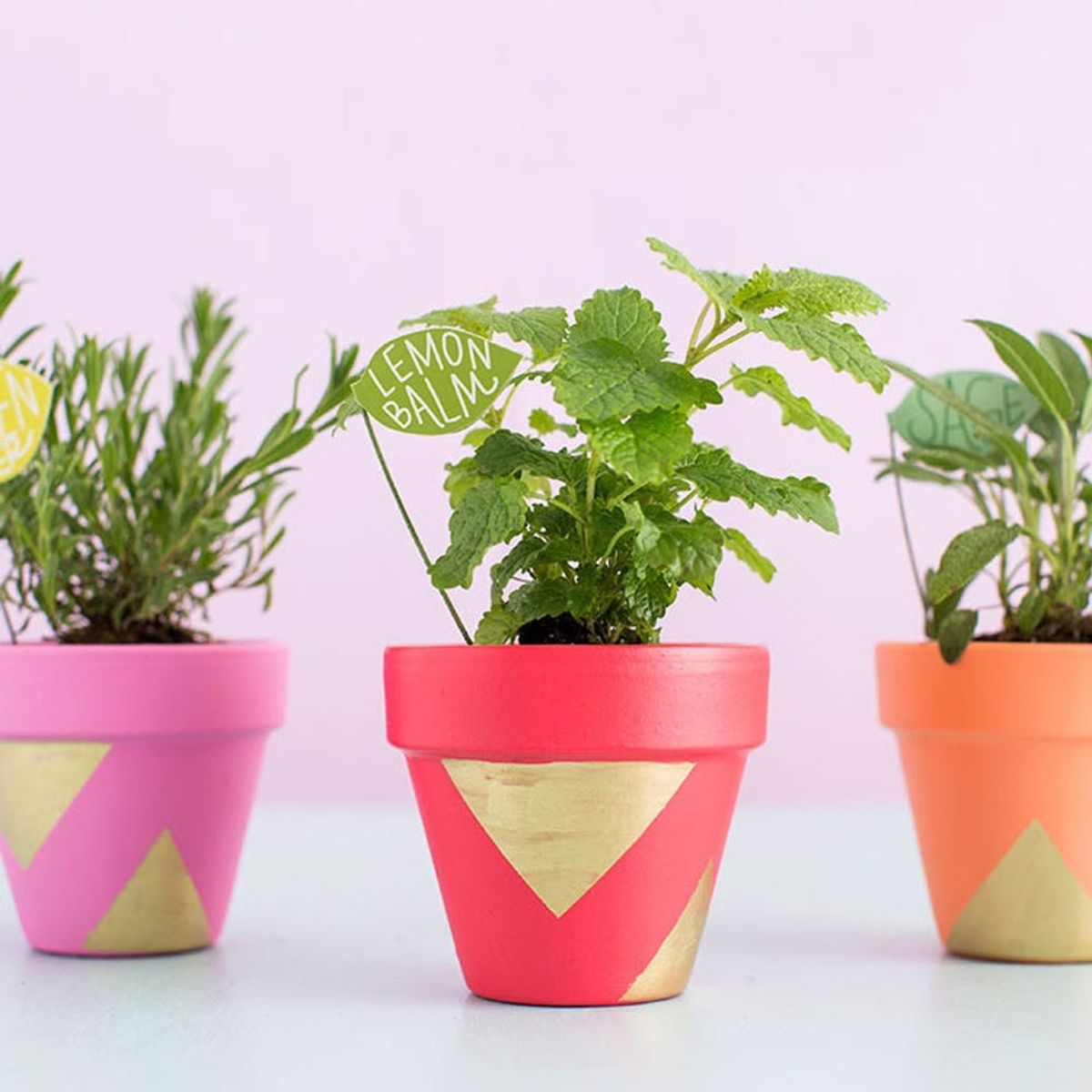 25 Creative Things to Do With a Terracotta Pot