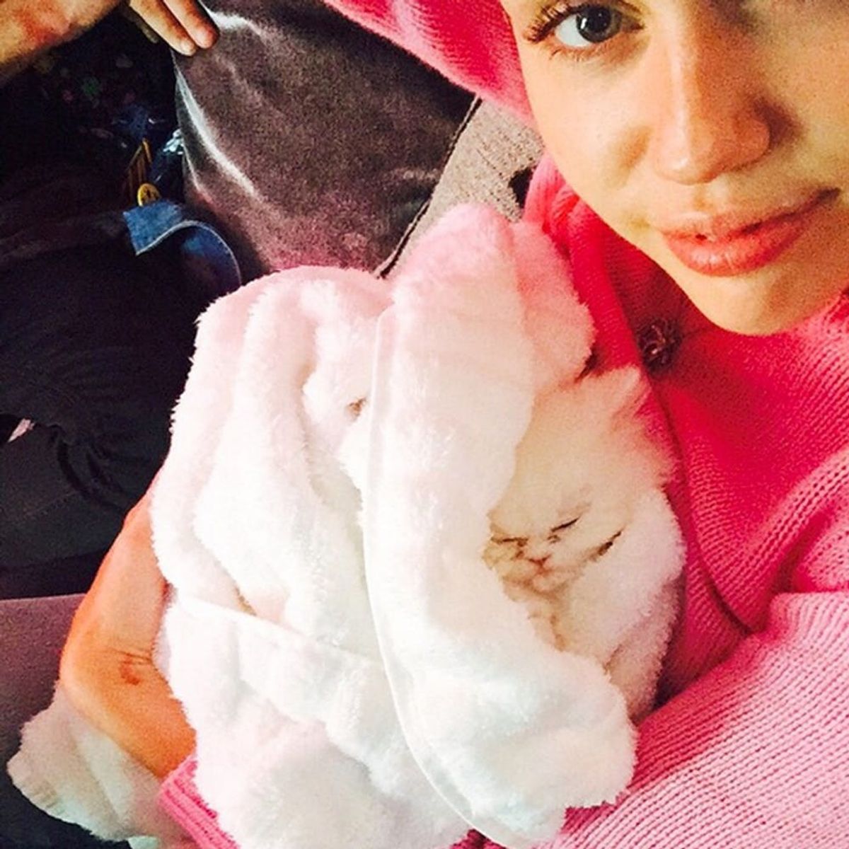 Miley Cyrus’ New Cat Is About to be the Next Instagram Star