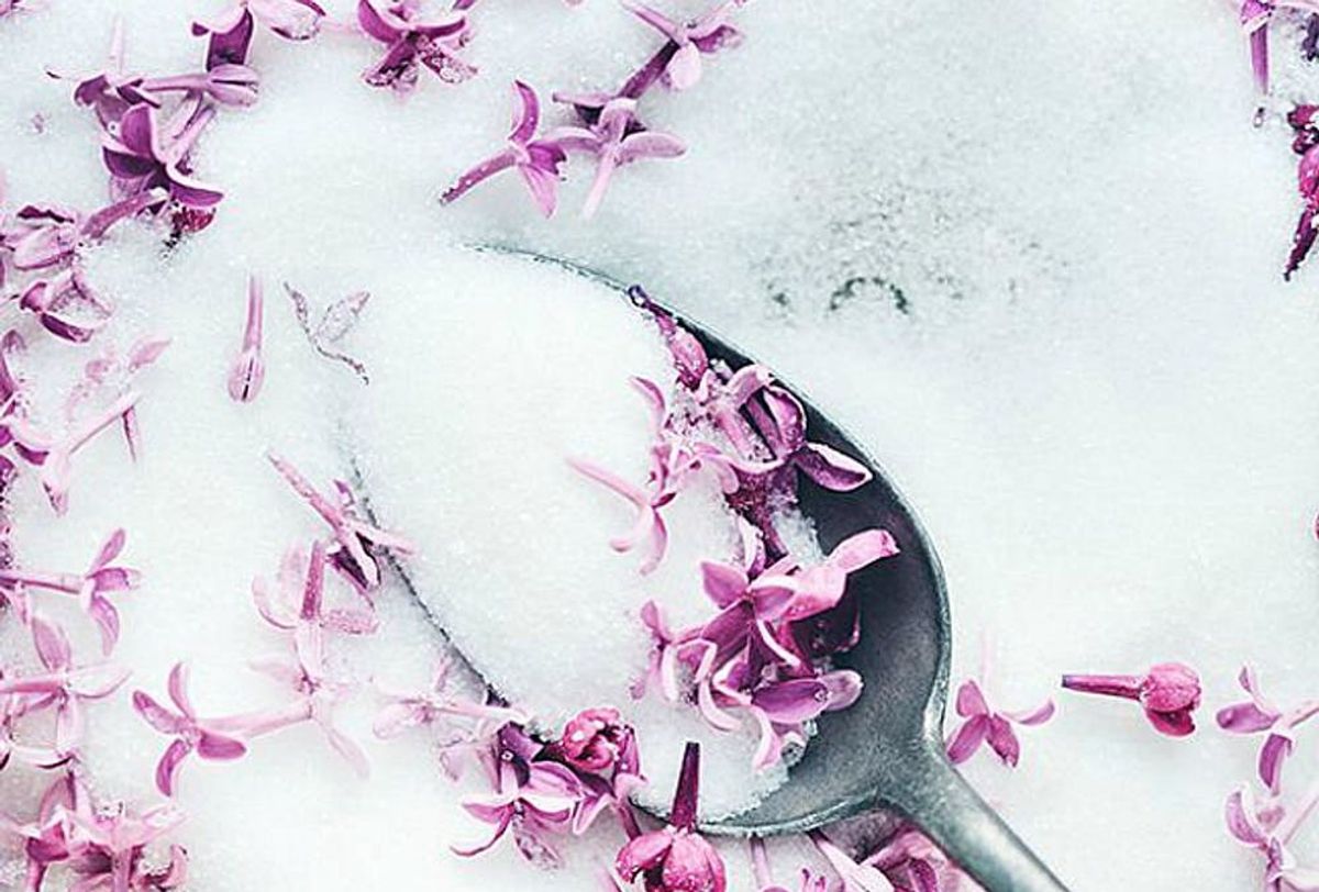 9 Reasons You Should Start Eating Lilacs… Yes, Lilacs - Brit + Co