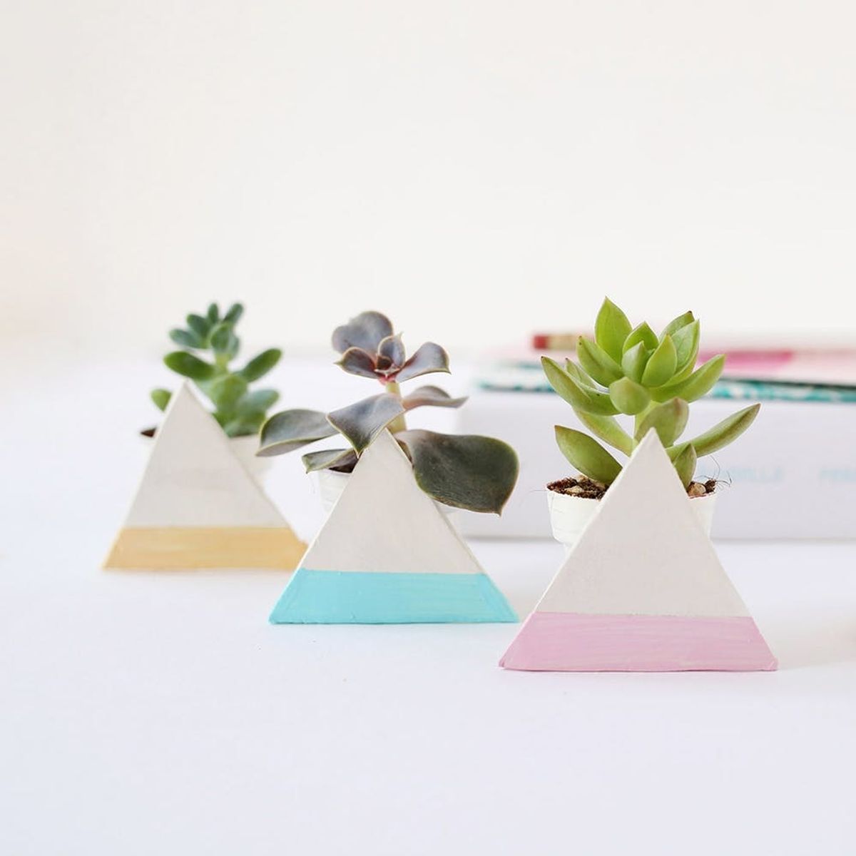 Add Some Spring to Your Space With DIY Geo Planters