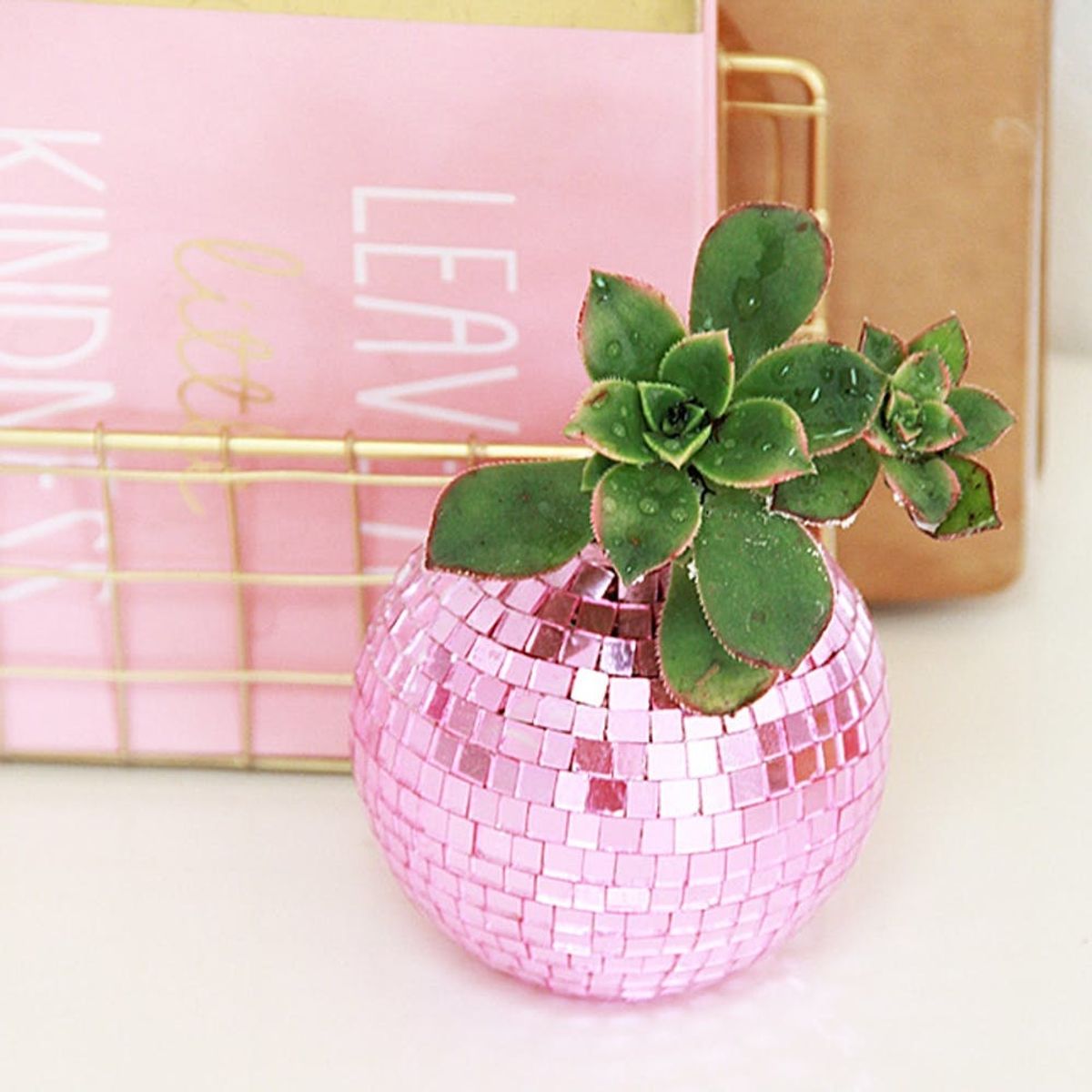 What to Make This Weekend: Disco Ball Planters, a Kimmy Schmidt Tote + More
