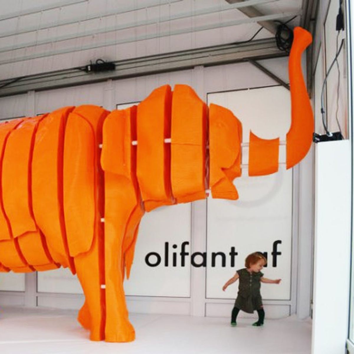 Mind Blown: You Can Now 3D Print Perfectly Fitting Clothes, Giant Elephants + More