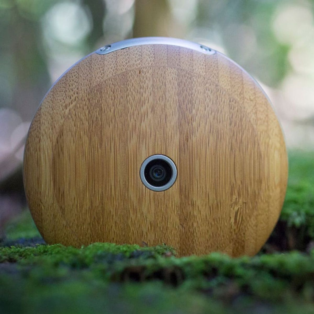 This Wooden Gadget Is the Anti-Smartphone