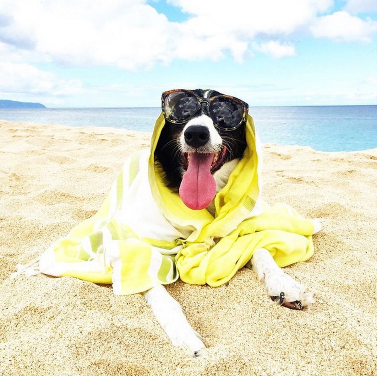 34 Beachy Instagrams to Get You Ready for Spring Break