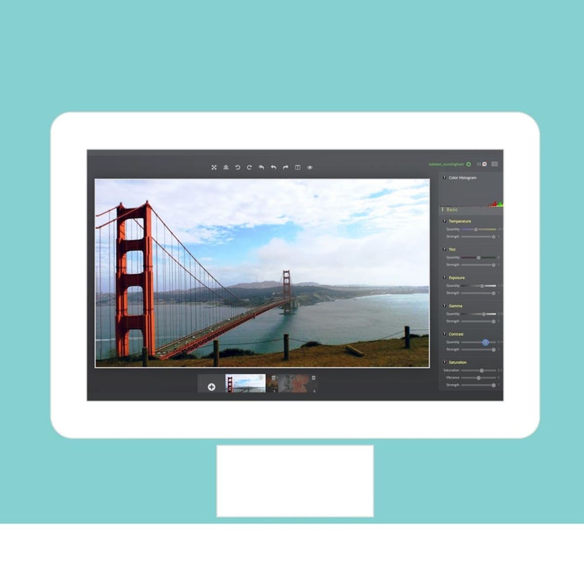Who Needs Photoshop? Edit Pics Online for FREE With Polarr
