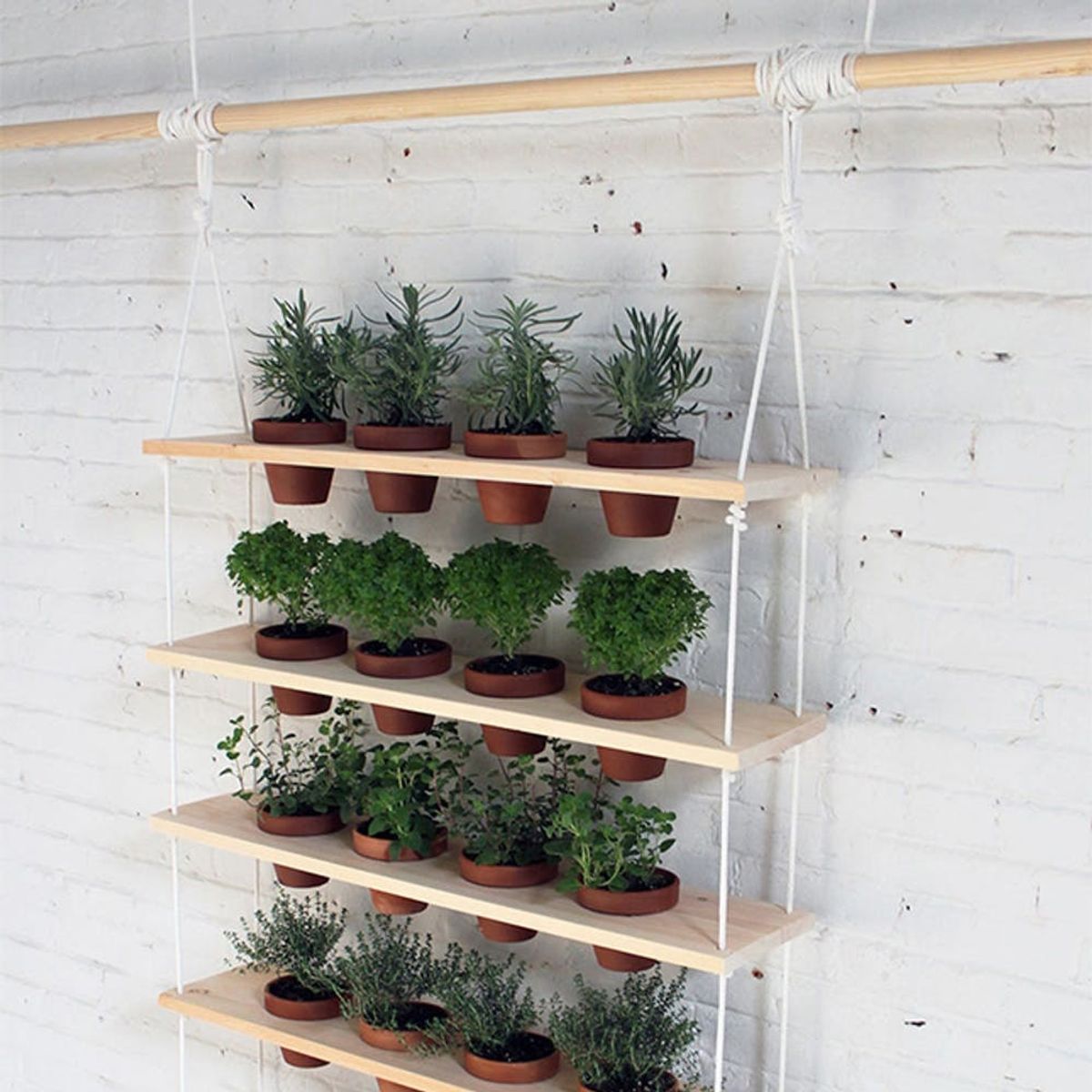 What to Make This Weekend: A Hanging Garden, Yarn Wall Art + More