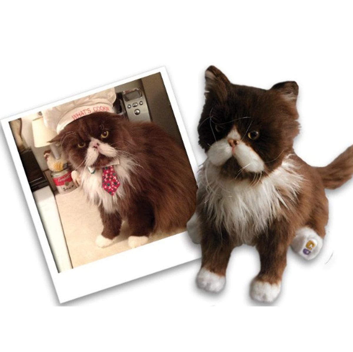 This Company Will Make Plush Versions of Your Pet