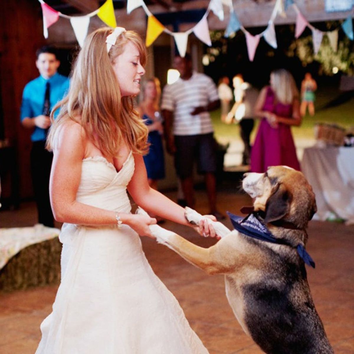 13 Ways to Give Your Pet a Role in Your Wedding