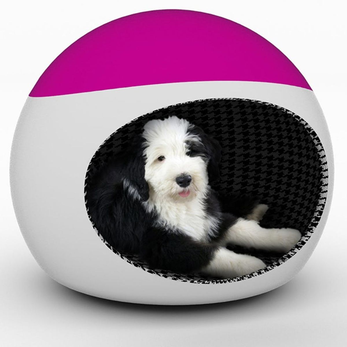 This Office Chair Is Awesome for Your Abs AND Your Dog