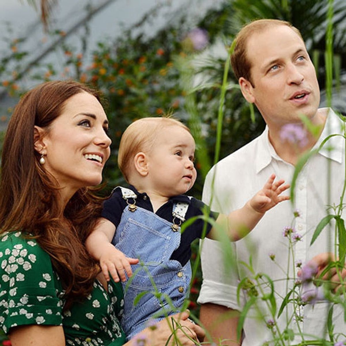 You Can Now Follow Kate and Will (+ Prince Harry!) on Instagram