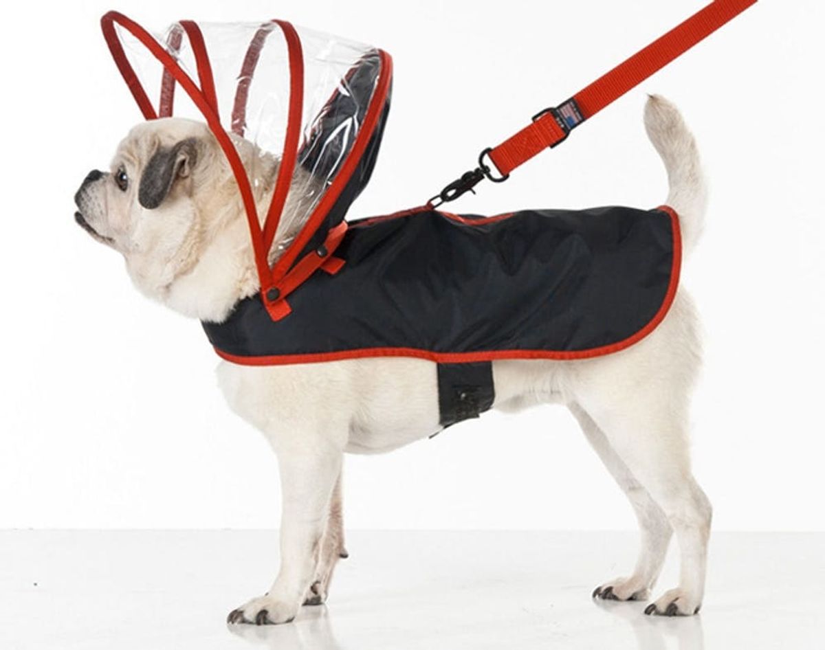 20 Pieces of Weather-Proof Apparel for Your Pup